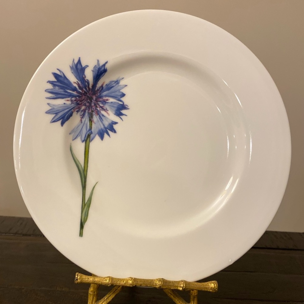Richard Ginori 1735 “Antinea” Salad Plate, Bone China Plate 8 Inches